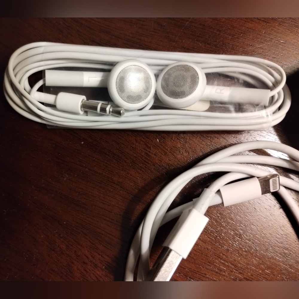 Apple Wired Earbuds and Charger Cable